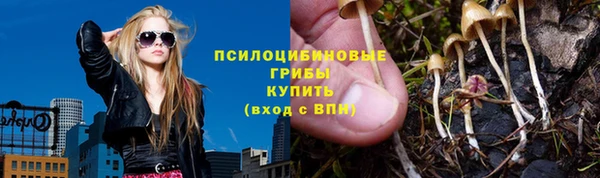 спайс Алексеевка
