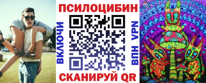 Галлюциногенные грибы мицелий  где купить наркоту  Грязовец 